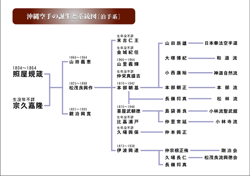 泊手系の系統図