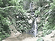 Ogimi Village
