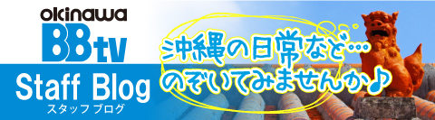 スタッフブログバナー