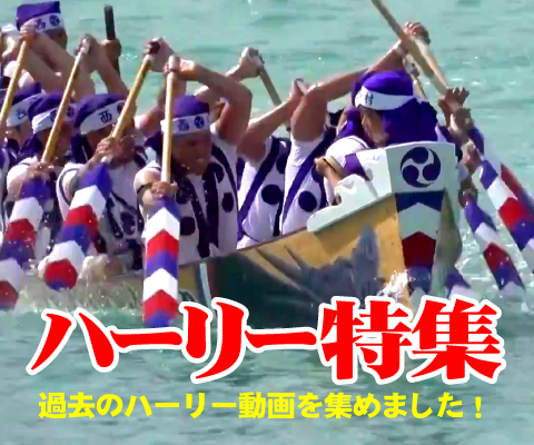 ハーリー特集
